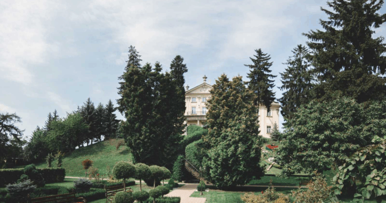 Старт осінніх заходів у Митрополичих садах