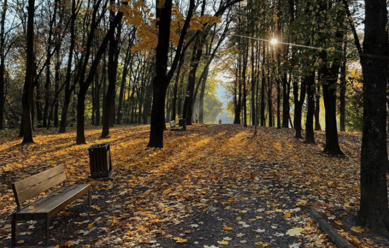 Осінній тиждень у Львові: що подивитись і куди піти