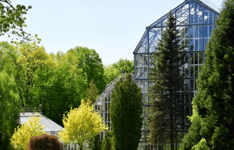 Ботанічний сад Львівського університету 🌿: зелений острів у серці міста