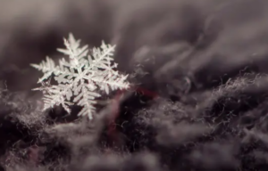 Календар свят у грудні 2025 року: ключові події, традиції та важливі дати