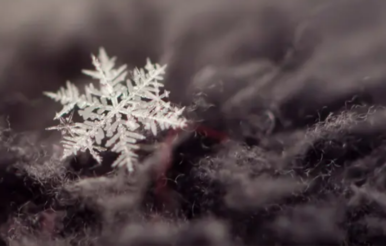 Календар свят у грудні 2025 року: ключові події, традиції та важливі дати