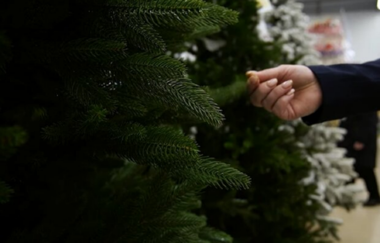 Як обрати якісну штучну ялинку: поради для святкового сезону у Львові