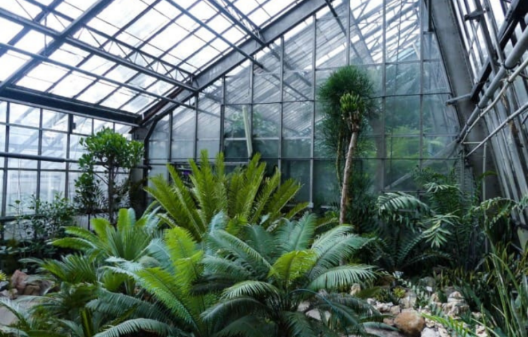 Ботанічний сад Львова: графік та оранжерея 🌿